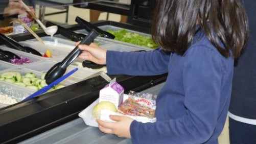 Here’s How Sakata Seed America, National Garden Bureau And Others Give Back To The Industry