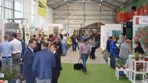 Seed Meets Technology Event Highlights Advancements In Vegetable And Bedding Plant Breeding