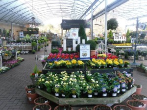 Add excitement to the plant yard with dramatic touches.