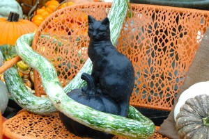 Turn A White Bench Orange