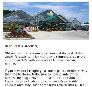 Wilsons Newsletter