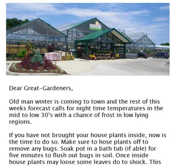 Wilsons Newsletter