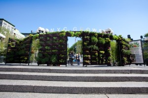Easy Vertical Gardens Give Customers A Pattern To Follow At Home
