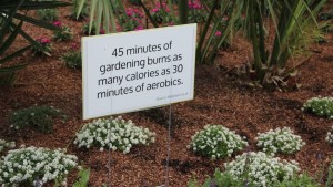 Signs With Benefits: How Signage Can Sell Your Products And Your Store