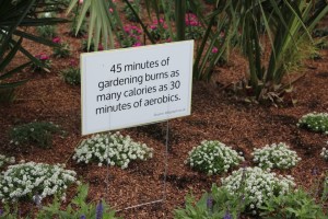 Gardening burns calories! 