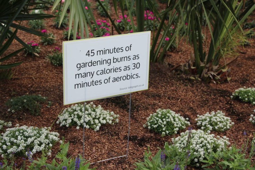 Gardening burns calories! 