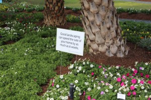 Landscaping speeds up how quickly a home sells