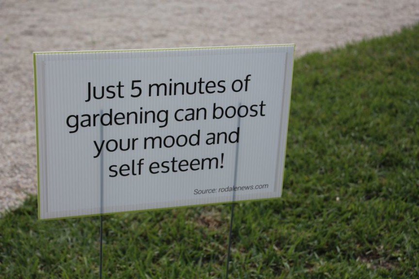 Plants boost mood and self esteem