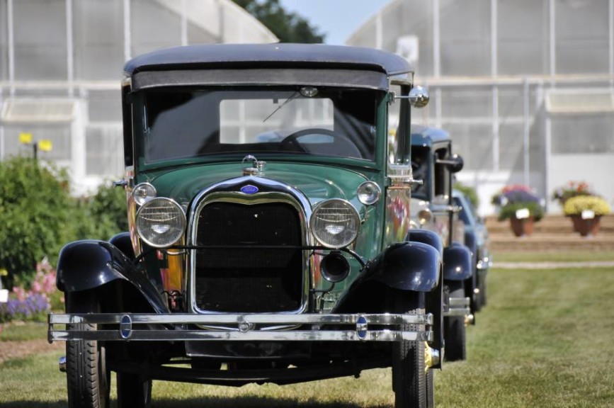 2015 C. Raker and Sons Field Trials