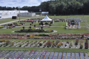 2015 C. Raker and Sons Field Trials