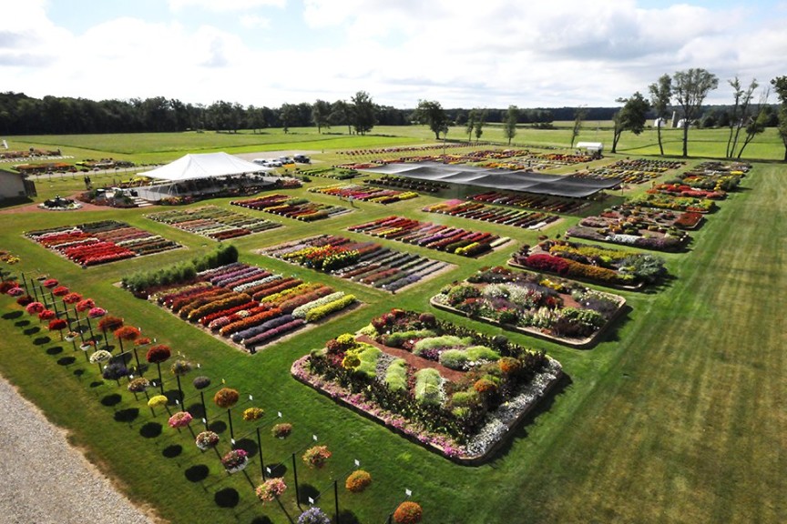 2015 C. Raker and Sons Field Trials