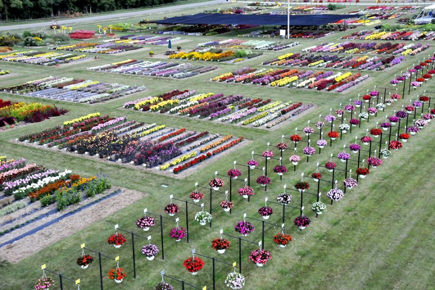 2015 C. Raker and Sons Field Trials