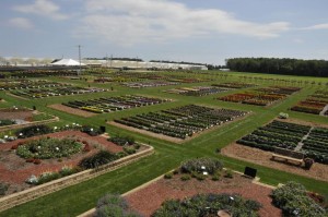 2015 C. Raker and Sons Field Trials