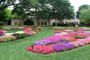 2015 Dallas Arboretum Field Trials