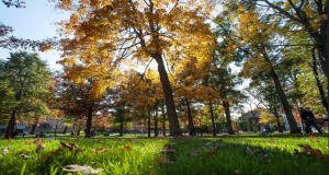#10: Allegheny Arboretum – Indiana University of Pennsylvania