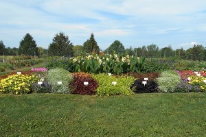 2015 Cornell University Field Trials