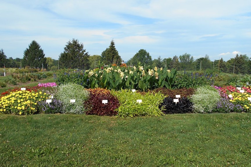 2015 Cornell University Field Trials