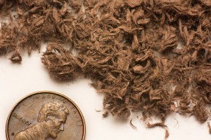 Blended Growing Media Formulations (PittMoss) 