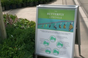 Signs to educate parents and older kids