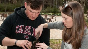 National Garden Bureau Awards Grants To Three Therapeutic Gardens