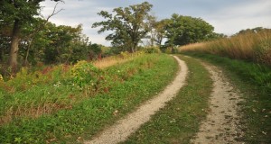 #4: Carleton College Cowling Arboretum
