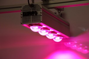 LED Lighting Solutions For Your Greenhouse