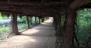 #2: Coker Arboretum – University of North Carolina at Chapel Hill