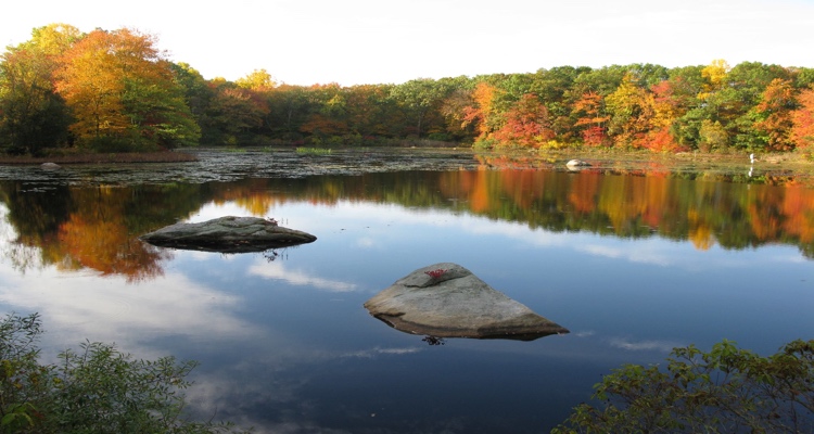 #5: Connecticut College Arboretum