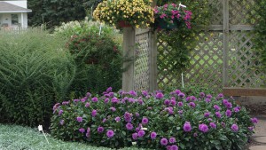 University Of Minnesota (Morris, Minn.) 2015 Field Trials Results