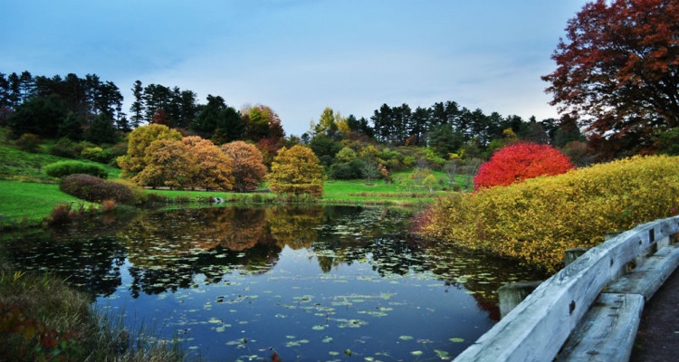 #1: F.R. Newman Arboretum – Cornell University