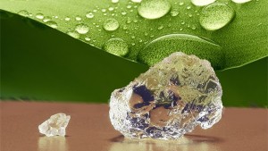 9 Sustainable Growing Media Products For Superior Greenhouse Crops