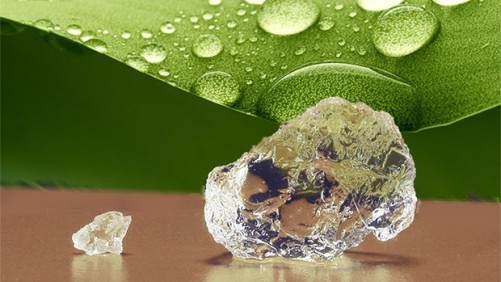 9 Sustainable Growing Media Products For Superior Greenhouse Crops