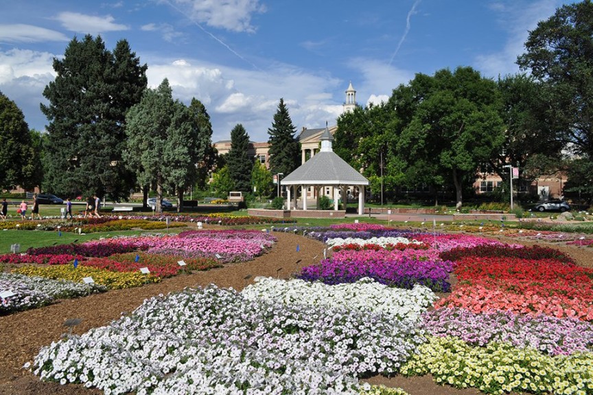 2015 Colorado State University Field Trials
