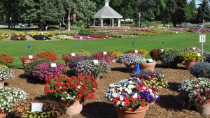 2015 Colorado State University (Fort Collins, Colo.) Field Trials Results