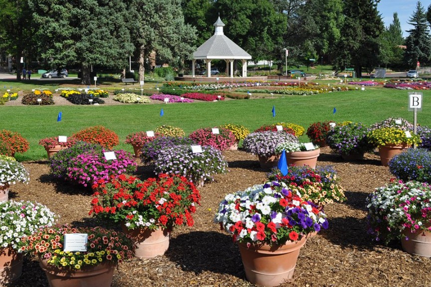 2015 Colorado State University Field Trials