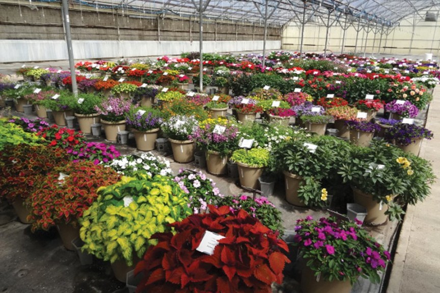 2015 Welby Gardens Field Trials