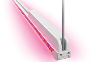 LED Lighting Solutions For Your Greenhouse