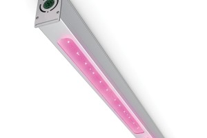 LED Lighting Solutions For Your Greenhouse