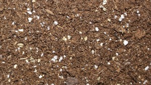 Learn The Basics Of Growing Media From Texas A&M University