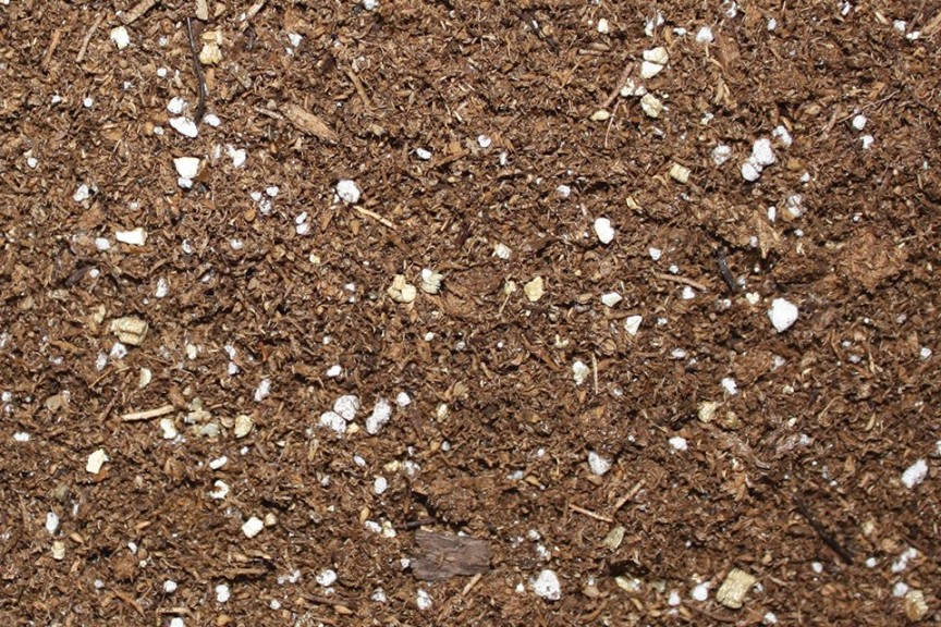 LM-Bark 1 (Lambert Peat Moss)