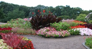 #6: Minnesota Landscape Arboretum – University of Minnesota