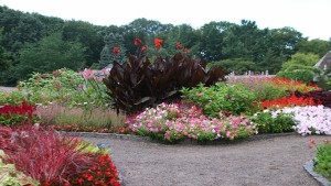 The Top 10 Most Beautiful College Arboretums