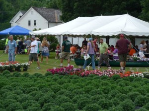 2015 D.S. Cole Growers Field Trials