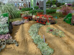 2015 D.S. Cole Growers Field Trials
