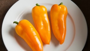 All-America Selections Announces Its Nine Winners For The 2016 Gardening Season