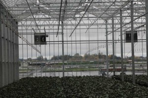 Smith Gardens, Marysville, WA