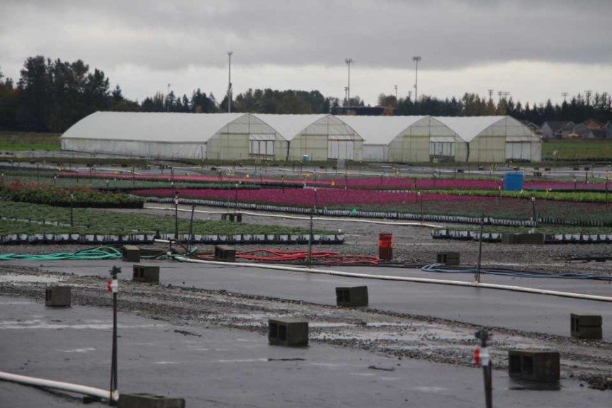 Smith Gardens, Marysville, WA