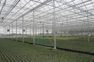 Smith Gardens, Marysville, WA