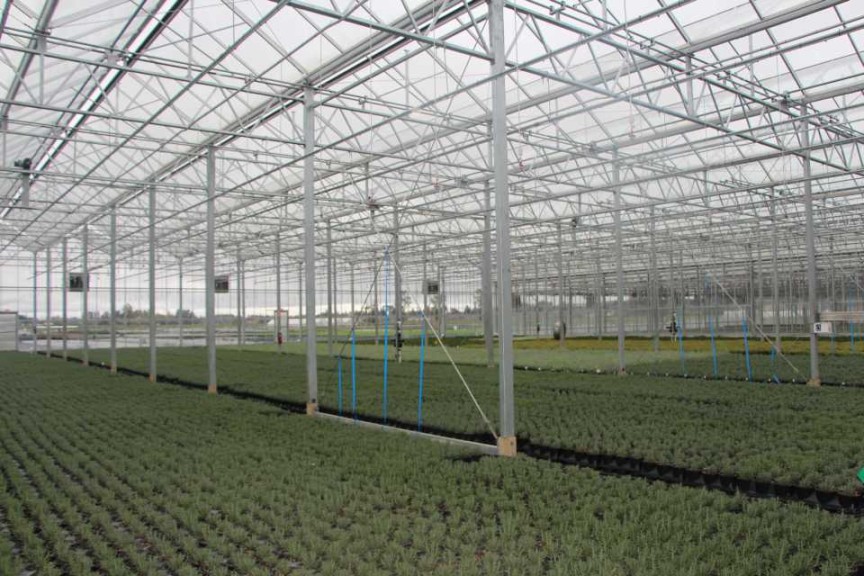 Smith Gardens, Marysville, WA