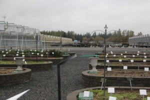 Smith Gardens, Marysville, WA